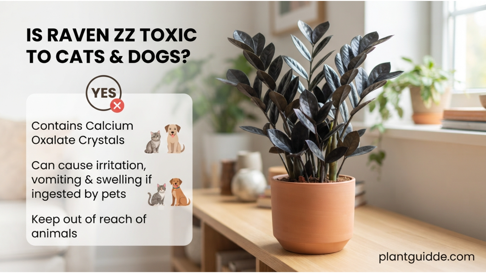 Is Raven ZZ Toxic to Cats and Dogs